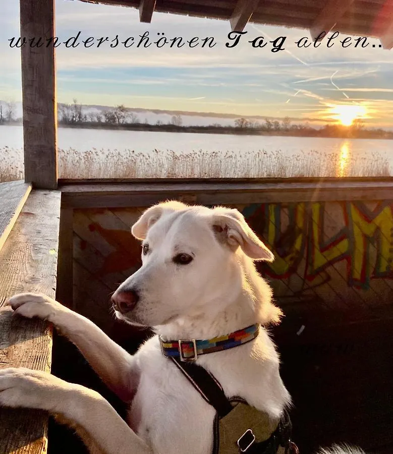 Privatzimmer Hanna Diessen am Ammersee 0*,